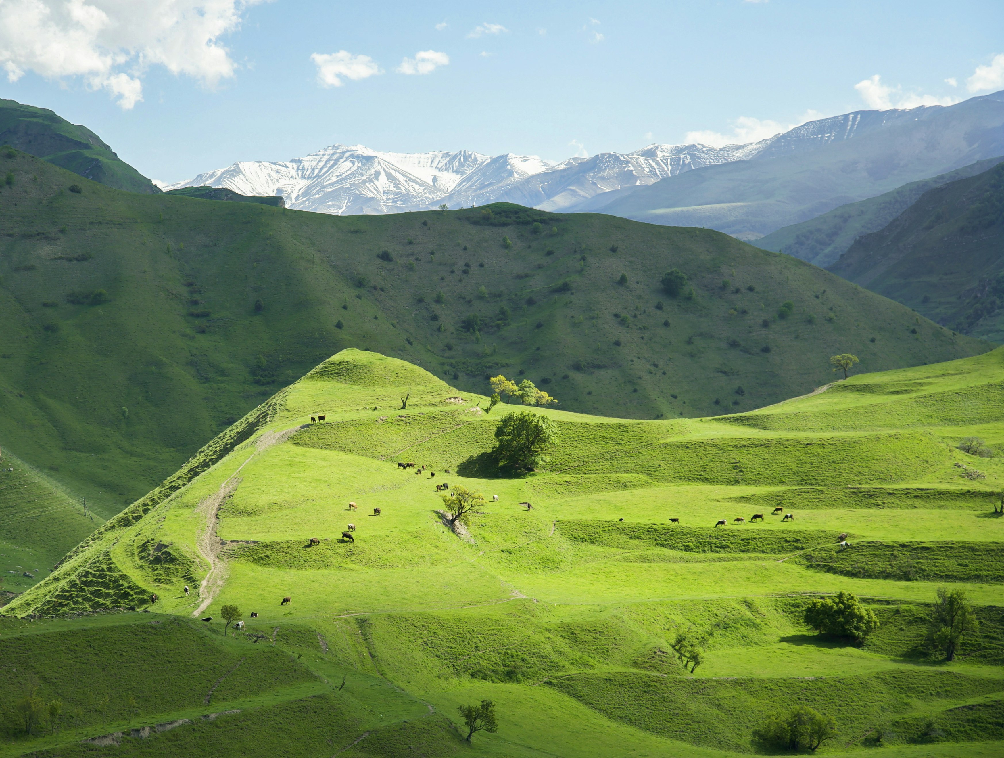 Количество маршруток на линии Махачкала – Каспийск увеличится