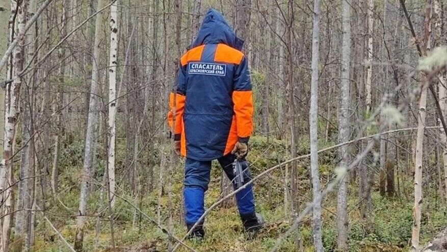 СК: к поискам Усольцевых не пытались присоединиться посторонние