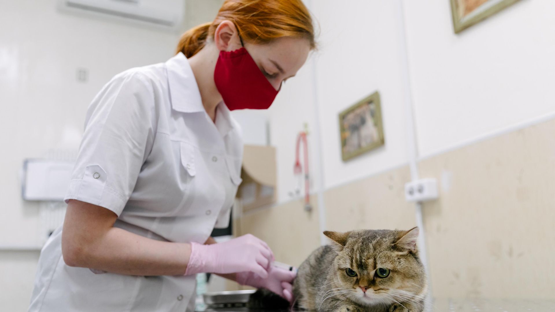 Котяков перечислил профессии, востребованные до 2032 года