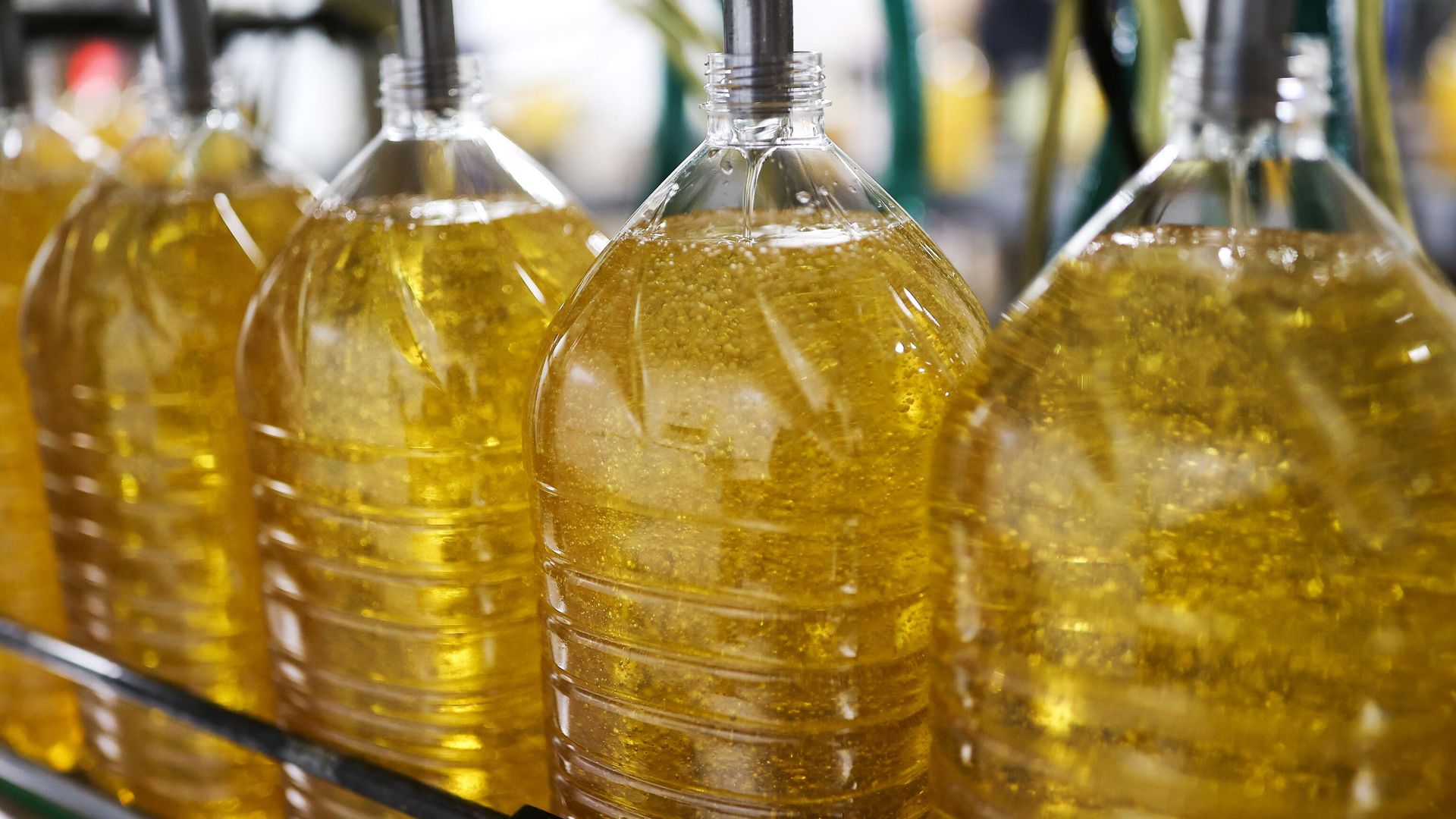Экспорт агропромышленной продукции из Вологодской области увеличился на 43,4%
